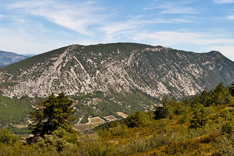 Gigant der Provence wird der Mont Ventoux oft genannt